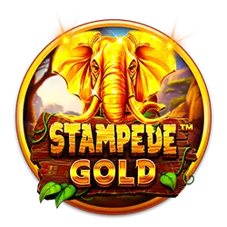 playzone casino apk how to bet on cricket in india