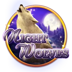 666 win casino what is a combination bet